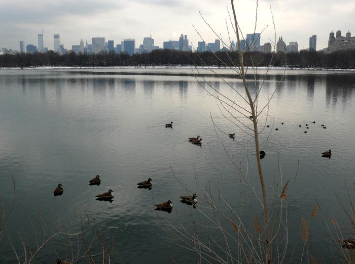 centralpark1